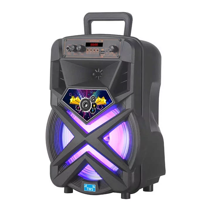 Стереосистема беспроводная Bluetooth NDR P77 10W с караоке микрофоном