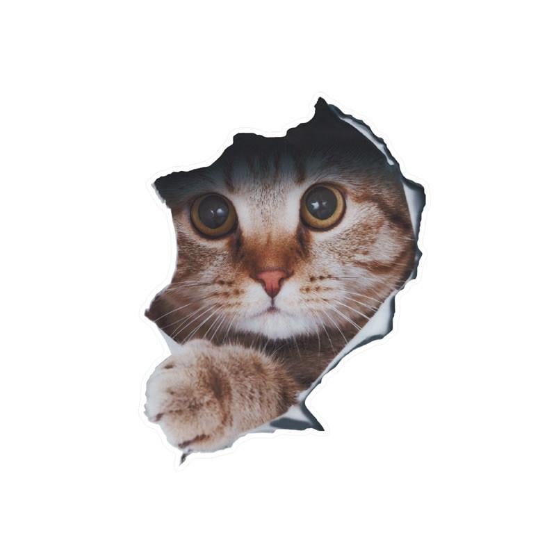 Наклейка на авто AIWA Кот 3D 02136