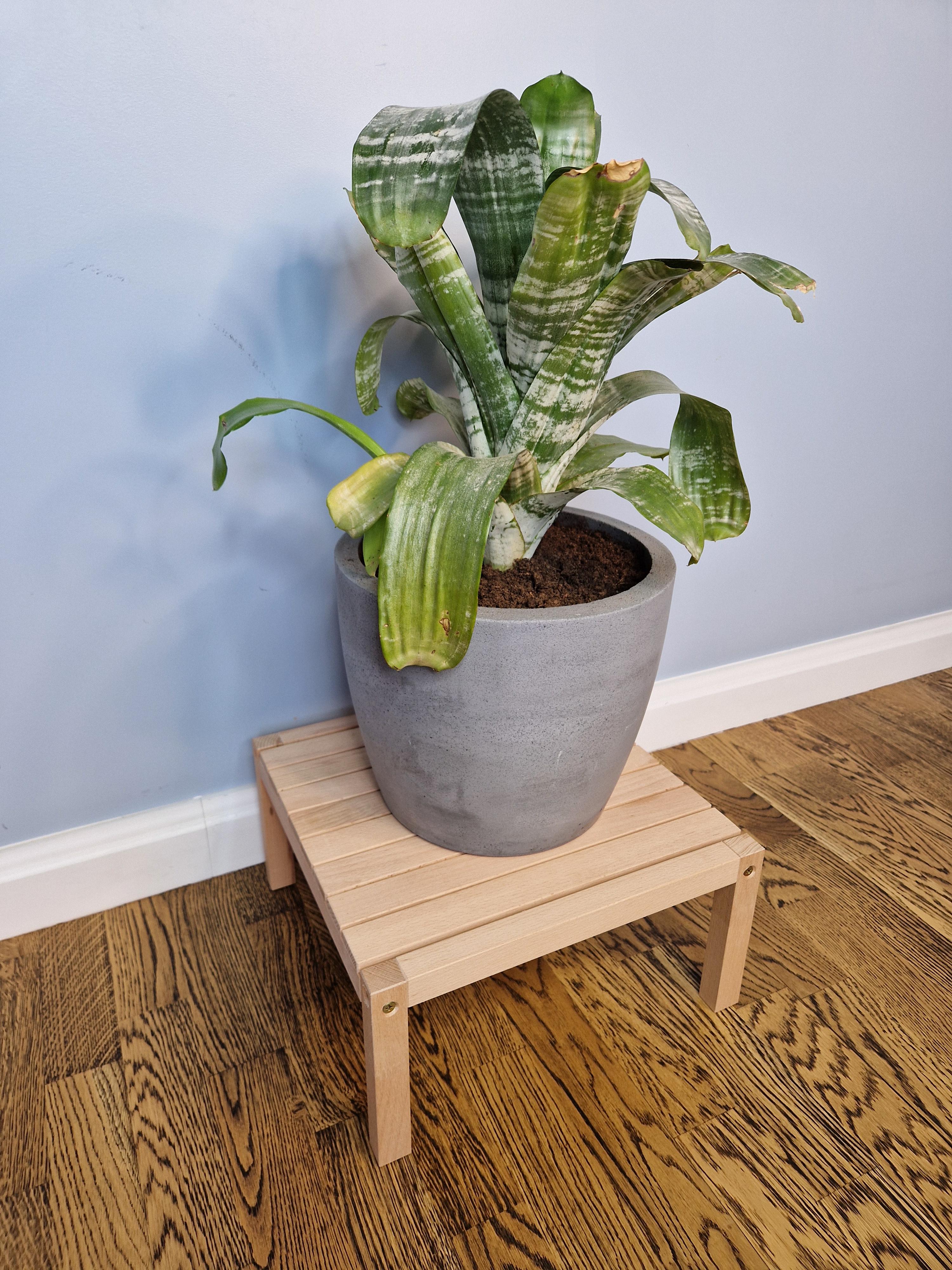 Підставка для вазону WoodDecor з дерева без покриття ⌀ 6 см (пв18бп) - фото 3