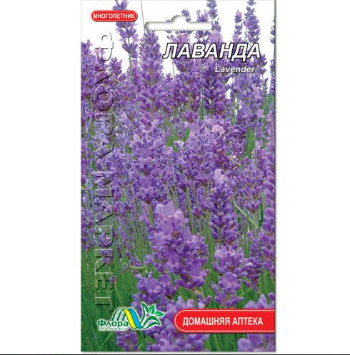Семена Лаванда 0,1 г лекарственная многолетник (26489)