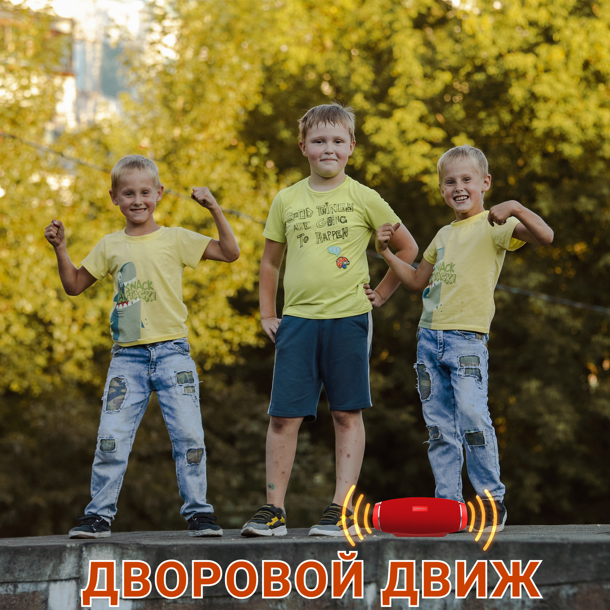 Акустическая система Hopestar PowerBank H27 Красный - фото 13 Акустическая система Hopestar PowerBank H27 Красный - фото 13