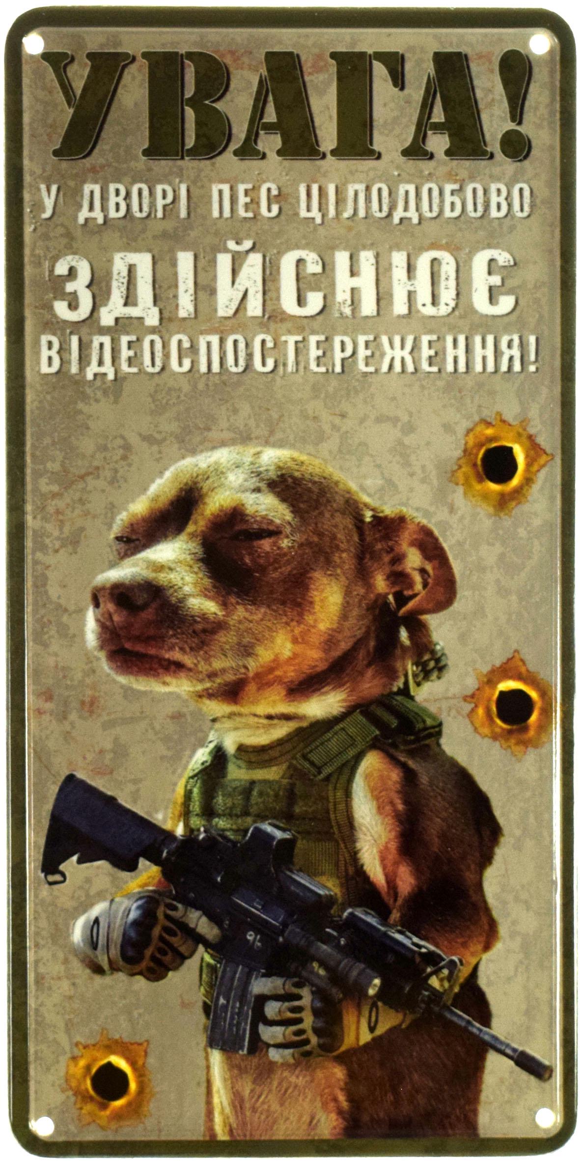 Табличка металева "Увага! У Дворі Пес Цілодобово Здійснює Відеоспостереження!" 15x30 см