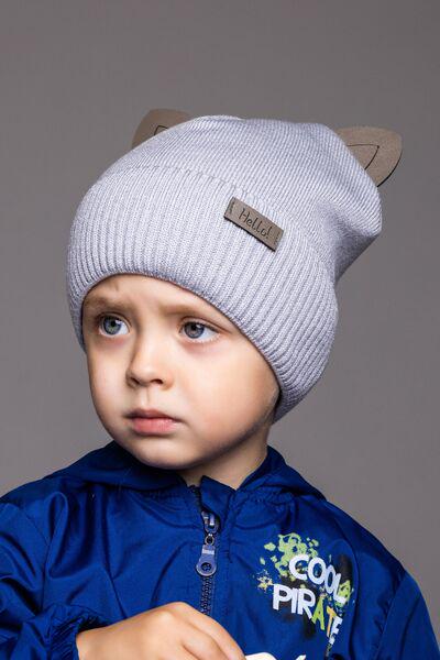 Шапка дитяча для хлопчика Карл D851 фліс 44-48 см Сірий