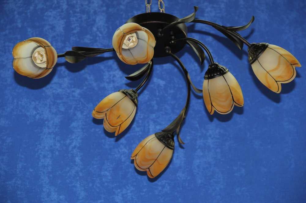 Люстра с плафонами Ray 81284/6 (IR006083)