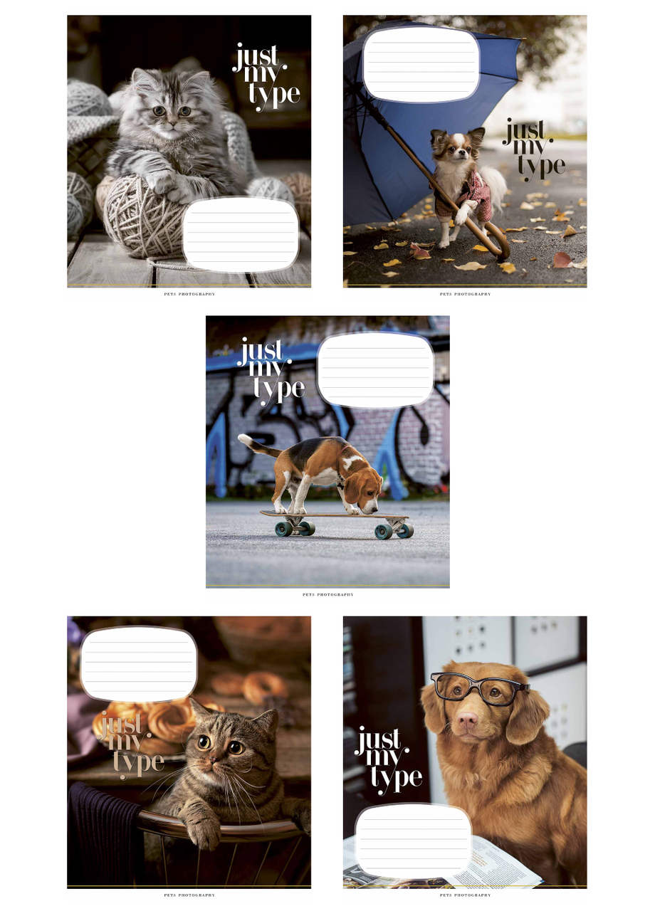 Тетради ученические Школярик ВД-лак. в линию 24 л. 5 шт. 3234 4820006470494_11