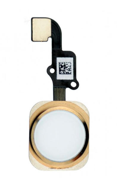 Шлейф кнопки Home iPhone 6 Gold (P144)