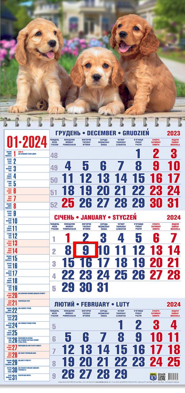 Календар на 2024 рік Офісний 1 Кокер Спаніель