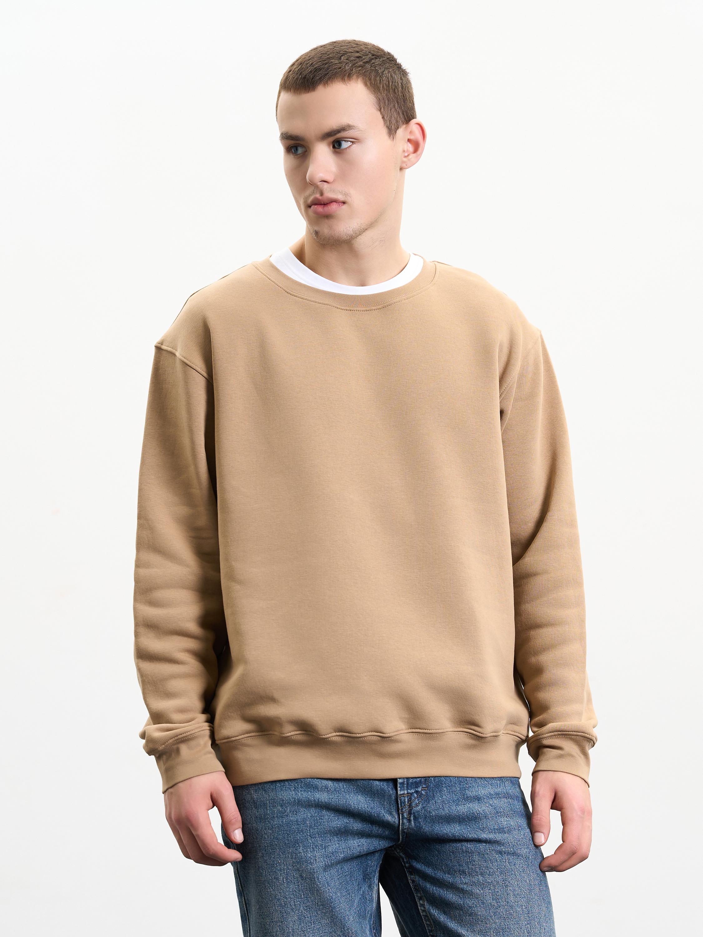 Свитшот мужской утепленный ROZA 240452 S Тофи (4824005710865) - фото 1 Свитшот мужской утепленный ROZA 240452 S Тофи (4824005710865) - фото 1