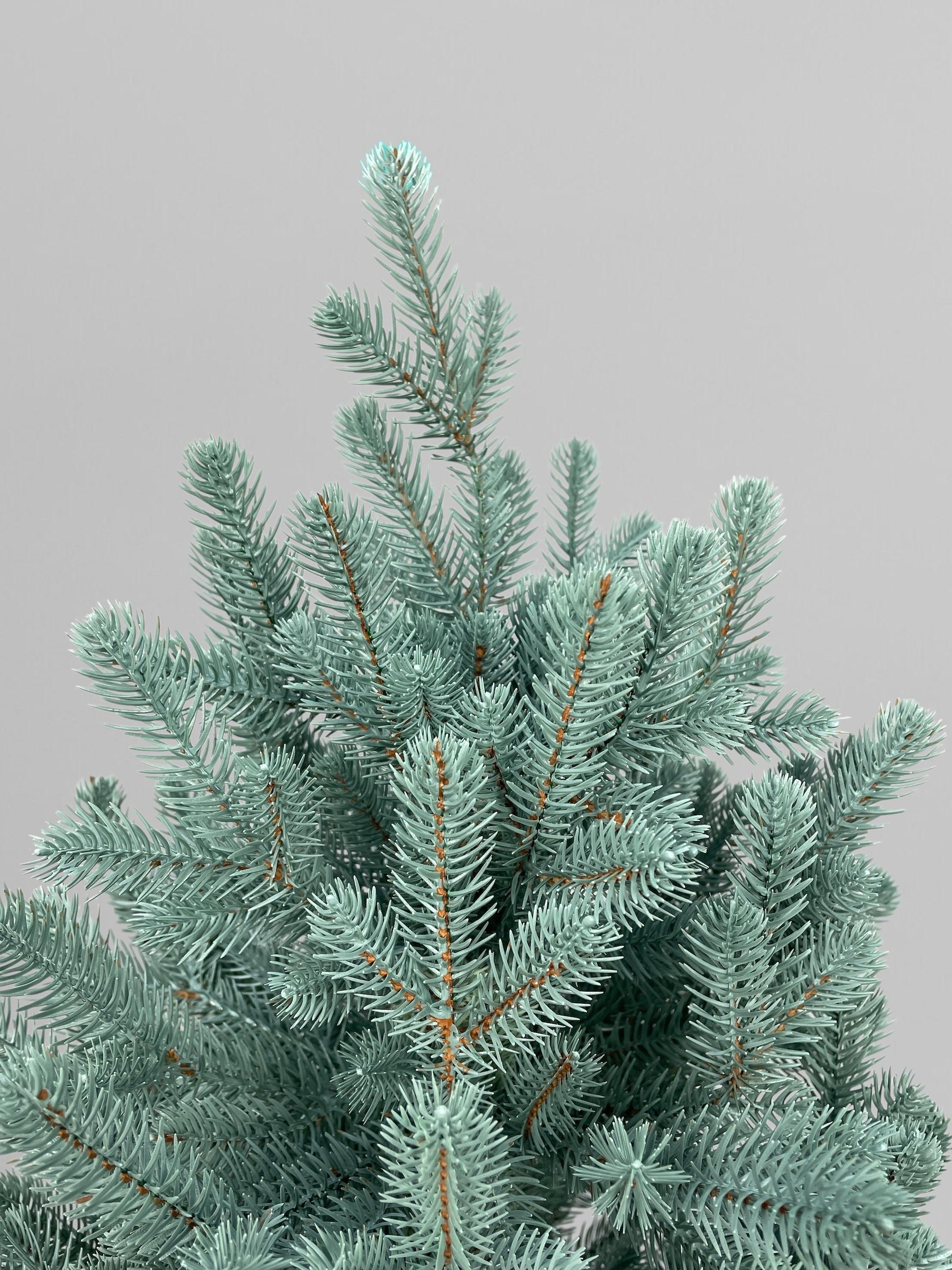 Штучна ялинка лита Traditional в горщику 70 см Блакитний (Н01020) - фото 3 Штучна ялинка лита Traditional в горщику 70 см Блакитний (Н01020) - фото 3