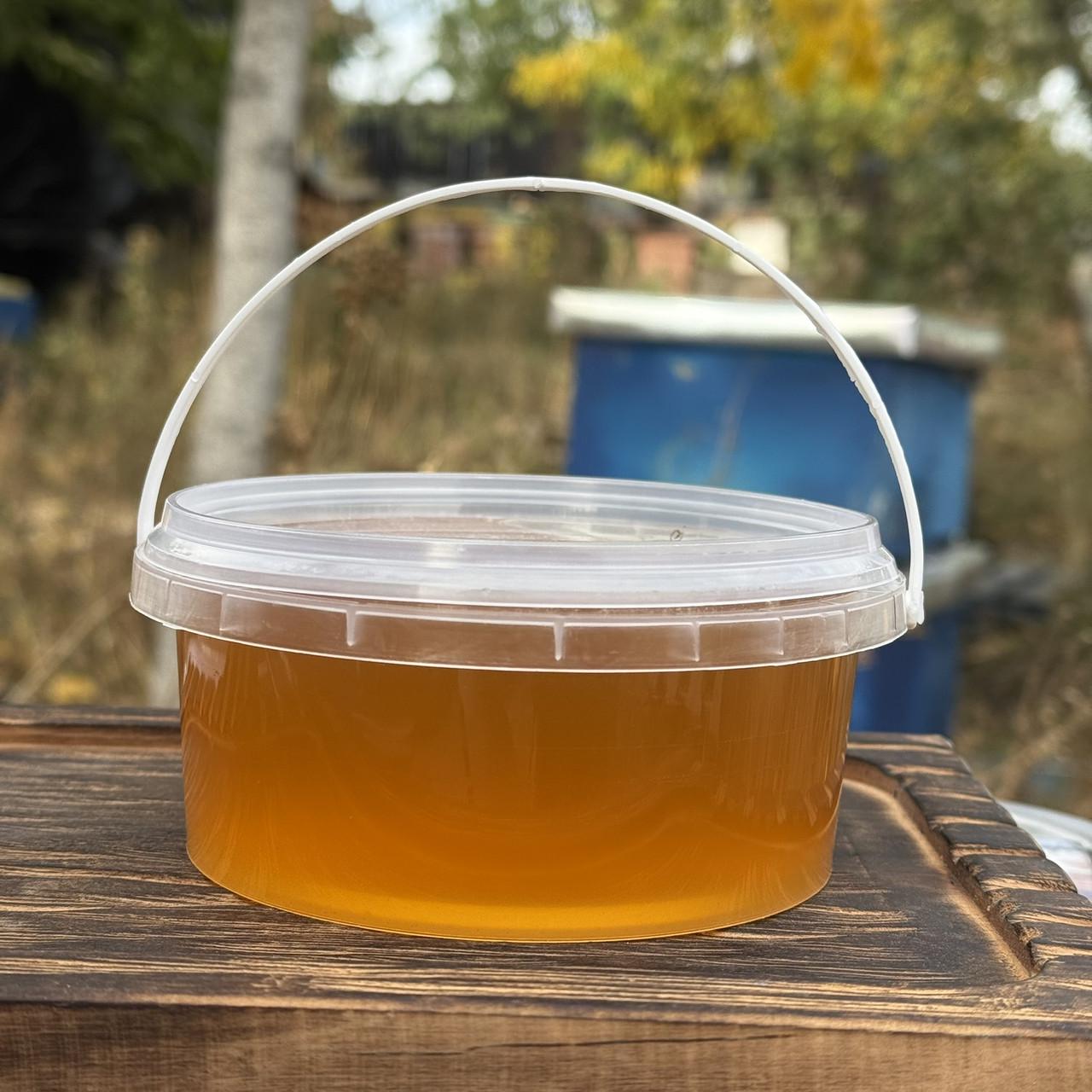 Мед Луговое разнотравье из стационарной пасеки 0,5 л/700 г 2025 г. (2784950936)