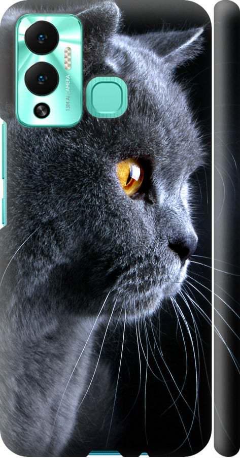 Чехол на Infinix Hot 12 Play Красивый кот (3038m-2759-42517)