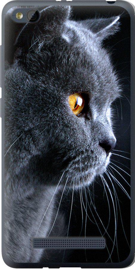 Чехол на Xiaomi RedMi 4A Красивый кот (3038u-631-42517)