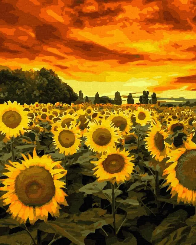 Картина по номерам Brushme Подсолнухи на закате 40x50 см (BRM44045)