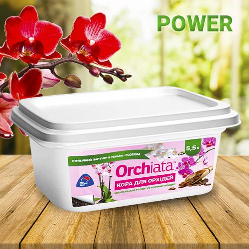 Орхіату Florium Power субстрат 5,5 л 9-12 мм (18653) - фото 3 Орхіату Florium Power субстрат 5,5 л 9-12 мм (18653) - фото 3