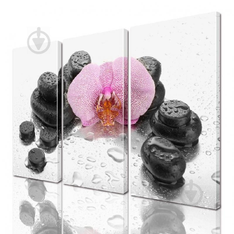 Модульная картина ArtStar цветы Орхидея ADFL0154 размер 95 х 120 см