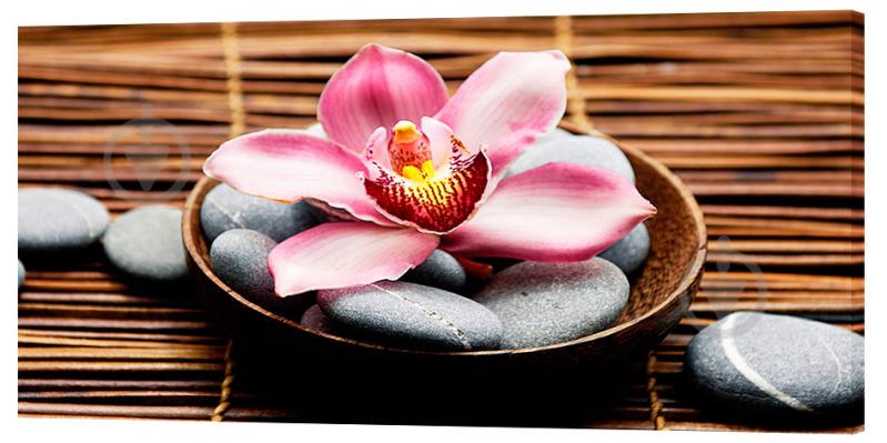 Картина на холсте Декор Карпаты Гармония 50х100 см (e827)