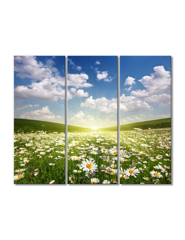Картина модульная Ромашковое поле 3 модуля 50x75 см