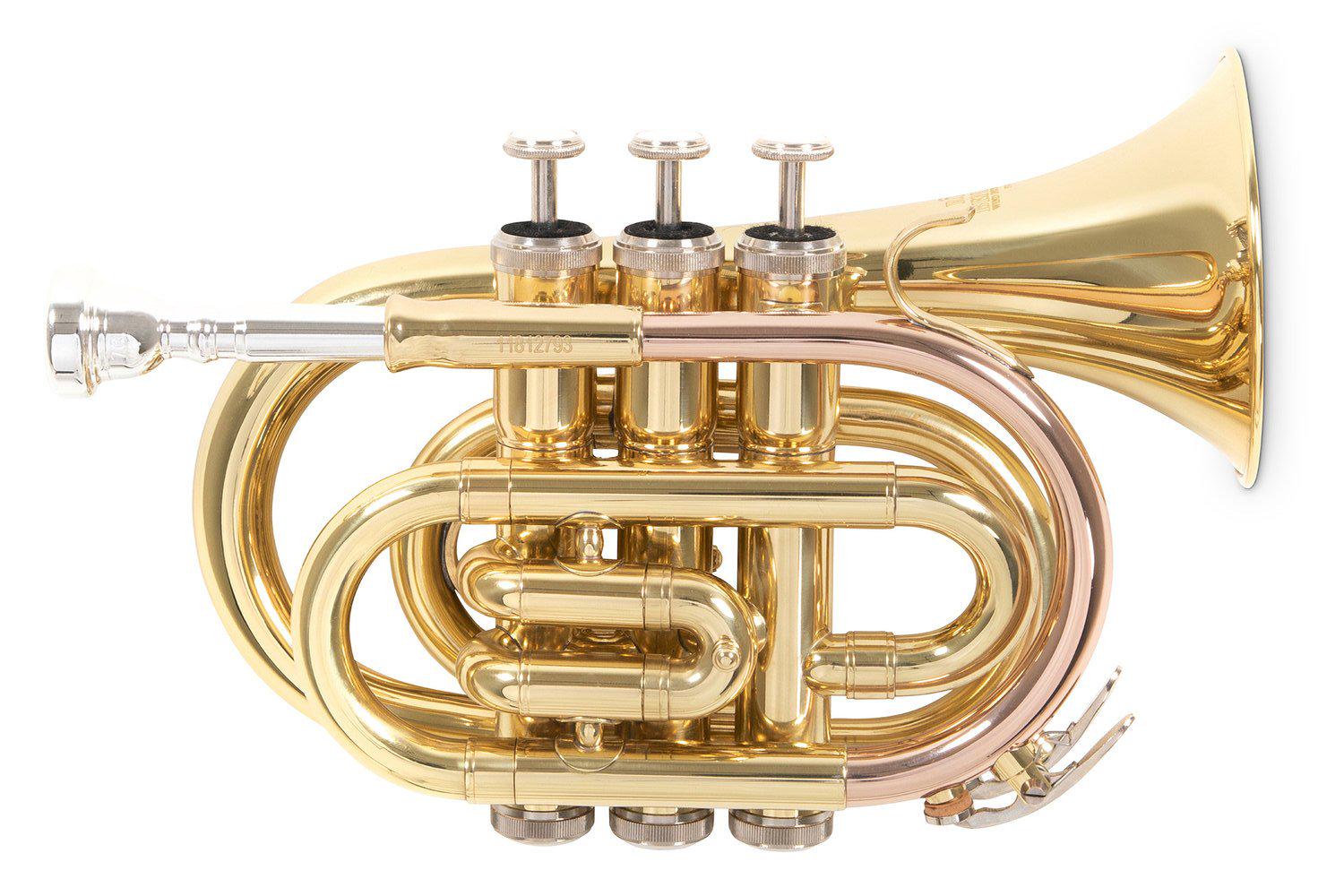 Труба кишенькова Roy Benson PT-101 Bb-Pocket trumpet латунь (G-RB701000)