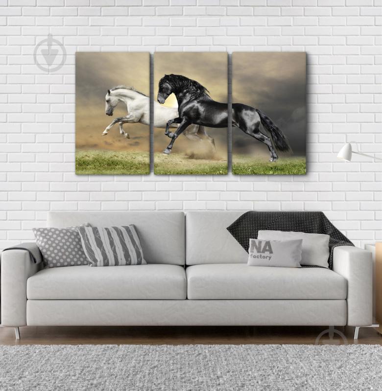 Модульна картина Poster-land Коні Аrt-73_3А