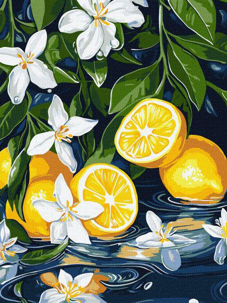 Картина по номерам Ideyka Лимон в разрезе 30x40 см (Id-KHO5733)