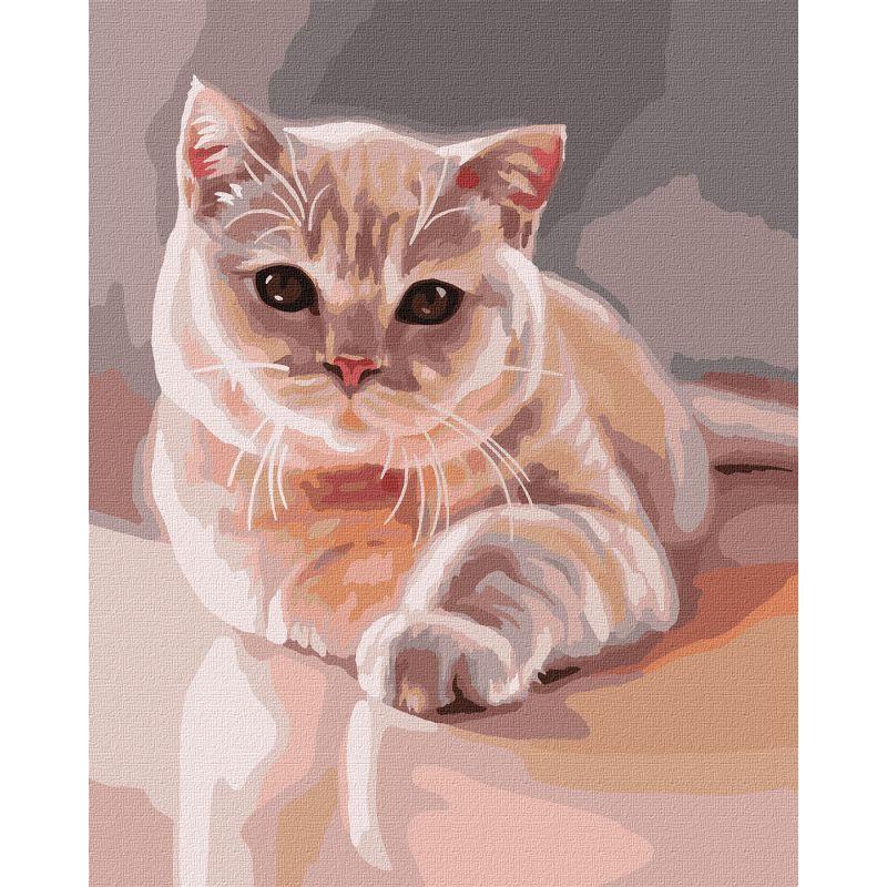 Картина по номерам Идейка Любимый пушистик 40x50 см (KHO4489)
