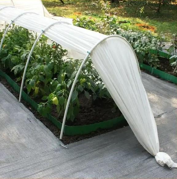 Теплица из агроволокна MAKSIAGRO 4м 50/м2 - фото 10 Теплица из агроволокна MAKSIAGRO 4м 50/м2 - фото 10