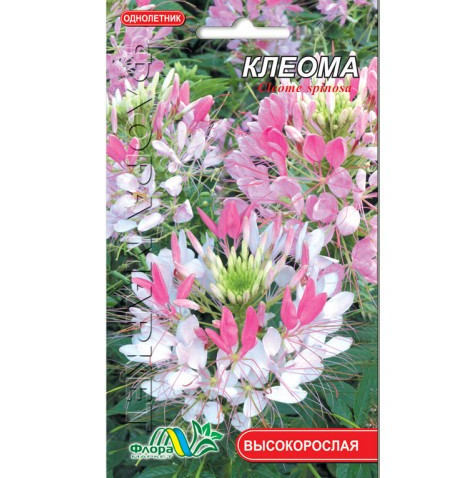 Семена Клеома смесь однолетник высокорослый 0,1 г (26277)