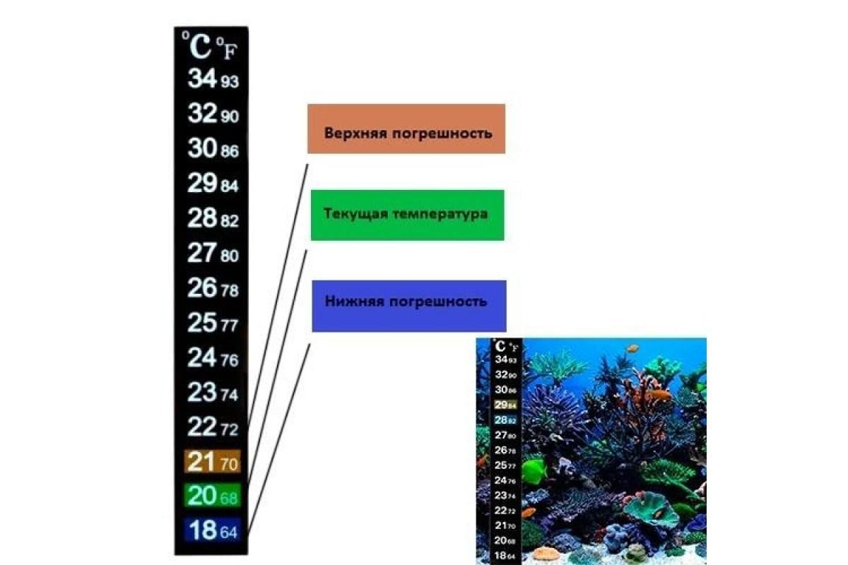 Термометр для аквариума ДИАС 18-34C - фото 2