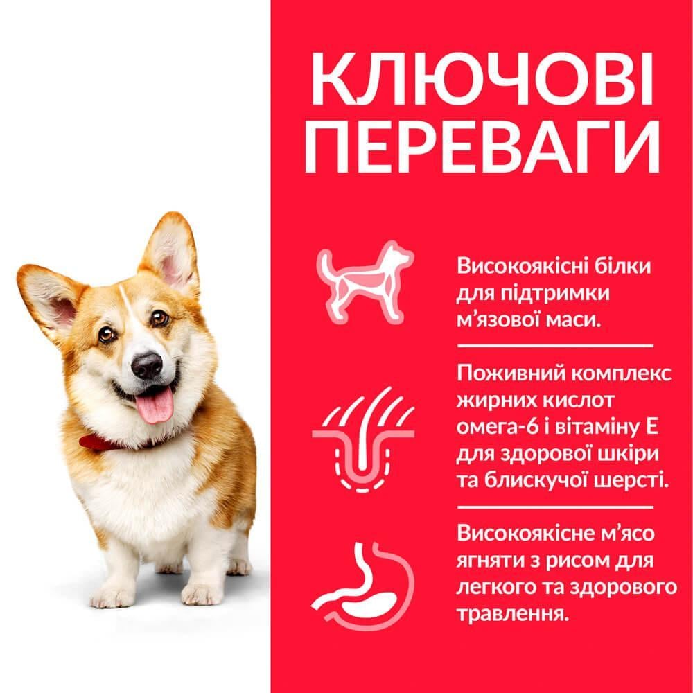 Корм сухий Hill's Science Plan Canine Small&Miniature Lamb&Rice з ягнятком для собак малих порід 1,5 кг (052742059471) - фото 2