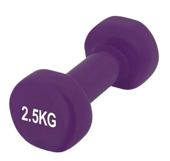 Гантель виниловый PowerPlay Achilles 4125 2,5 кг 1 шт. Фиолетовый (PP_4125_2.5kg) Гантель виниловый PowerPlay Achilles 4125 2,5 кг 1 шт. Фиолетовый (PP_4125_2.5kg)