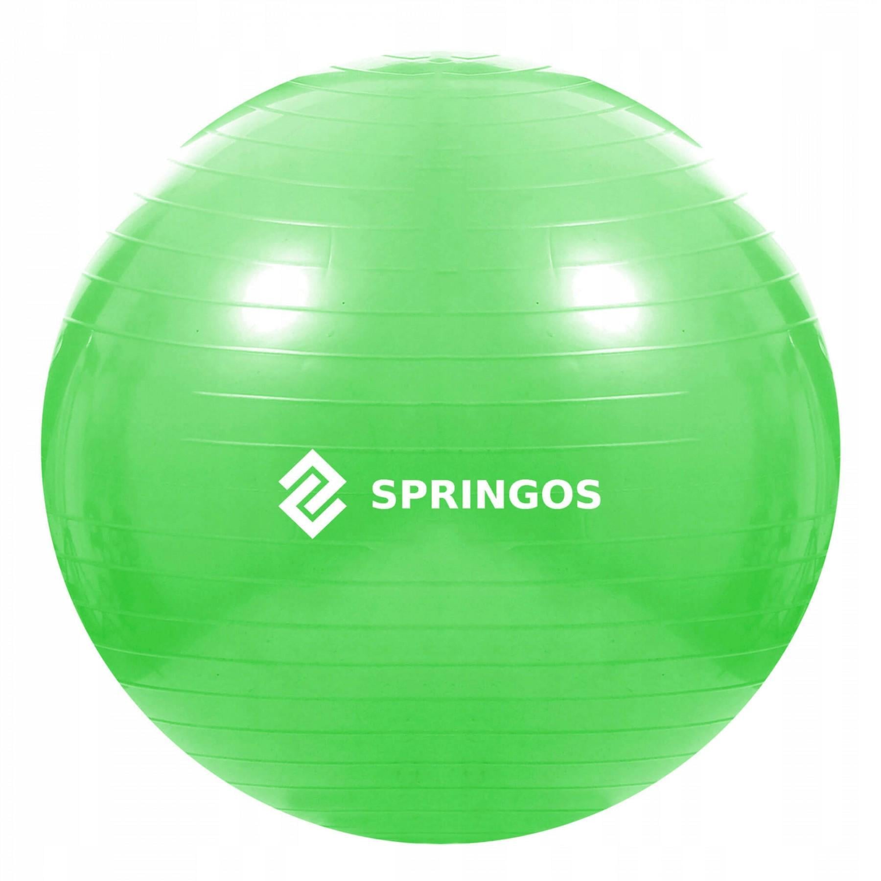 Фитбол SportVida 65 см Anti-Burst Green (20807) Фитбол SportVida 65 см Anti-Burst Green (20807)