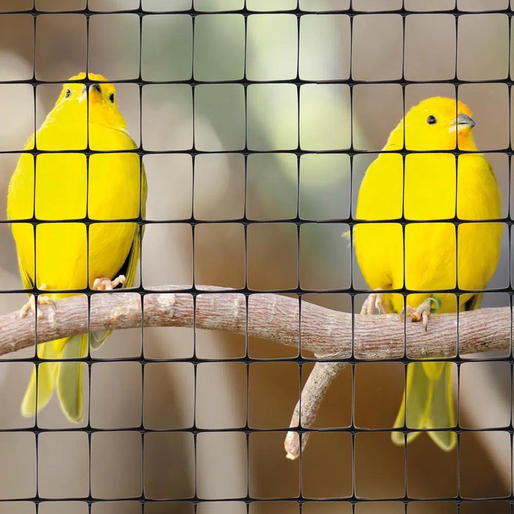 Сетка защитная от птиц Птичка 2x100 м ячейка 30х35 мм Черный (676) - фото 16 Сетка защитная от птиц Птичка 2x100 м ячейка 30х35 мм Черный (676) - фото 16