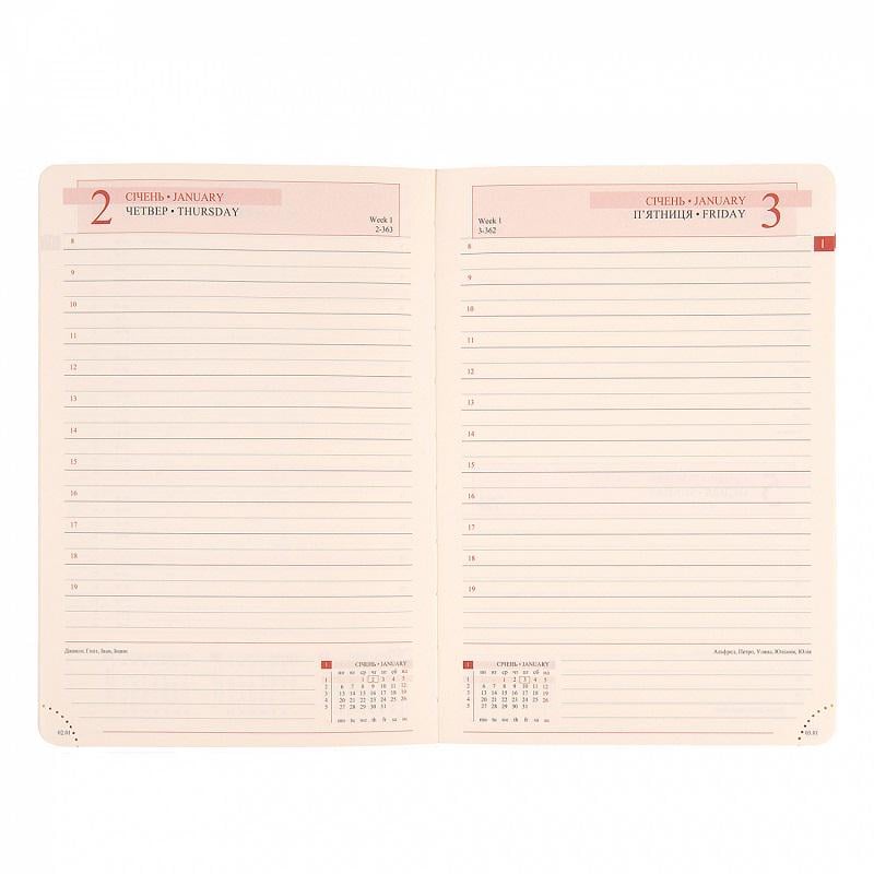 Дневник датированный Leo Planner Boss 2025 А5 368 Стр. мягкий Черный (252514) - фото 8