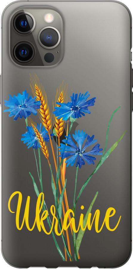 Чехол на iPhone 12 Pro Max Ukraine v2 (5445t-2054-42517)