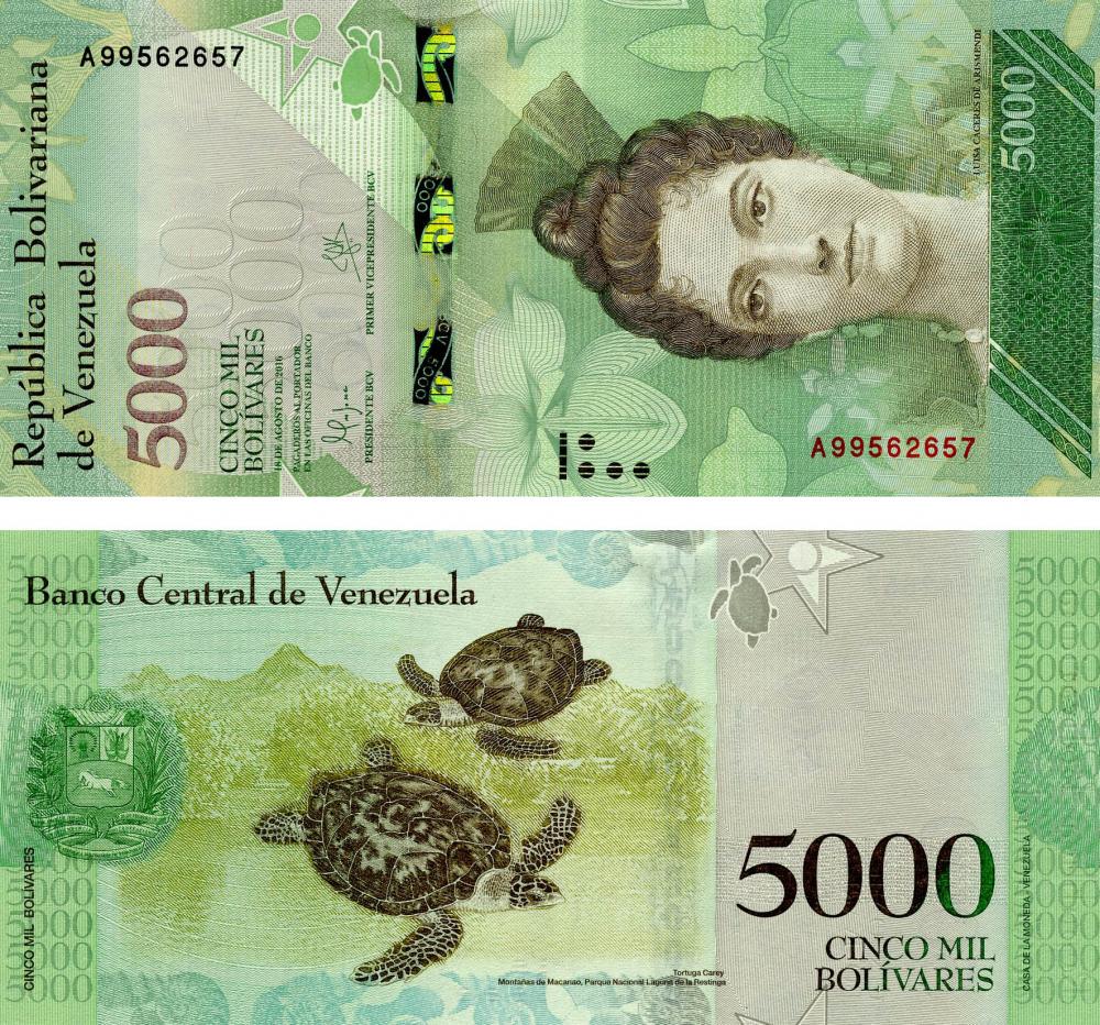 Коллекционная банкнота Венесуэла 5000 боливар 2016 UNC Черепахи P97 (Б07221)