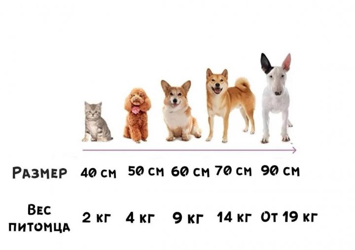 Лежак лежанка для котів та собак Incor 100 см Біле штучне хутро - фото 5 Лежак лежанка для котів та собак Incor 100 см Біле штучне хутро - фото 5