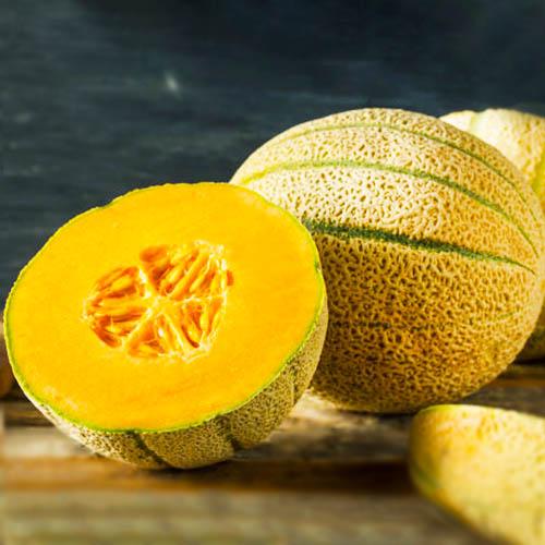 Насіння Диня Florium Мілан F1 (15891) - фото 2 Насіння Диня Florium Мілан F1 (15891) - фото 2