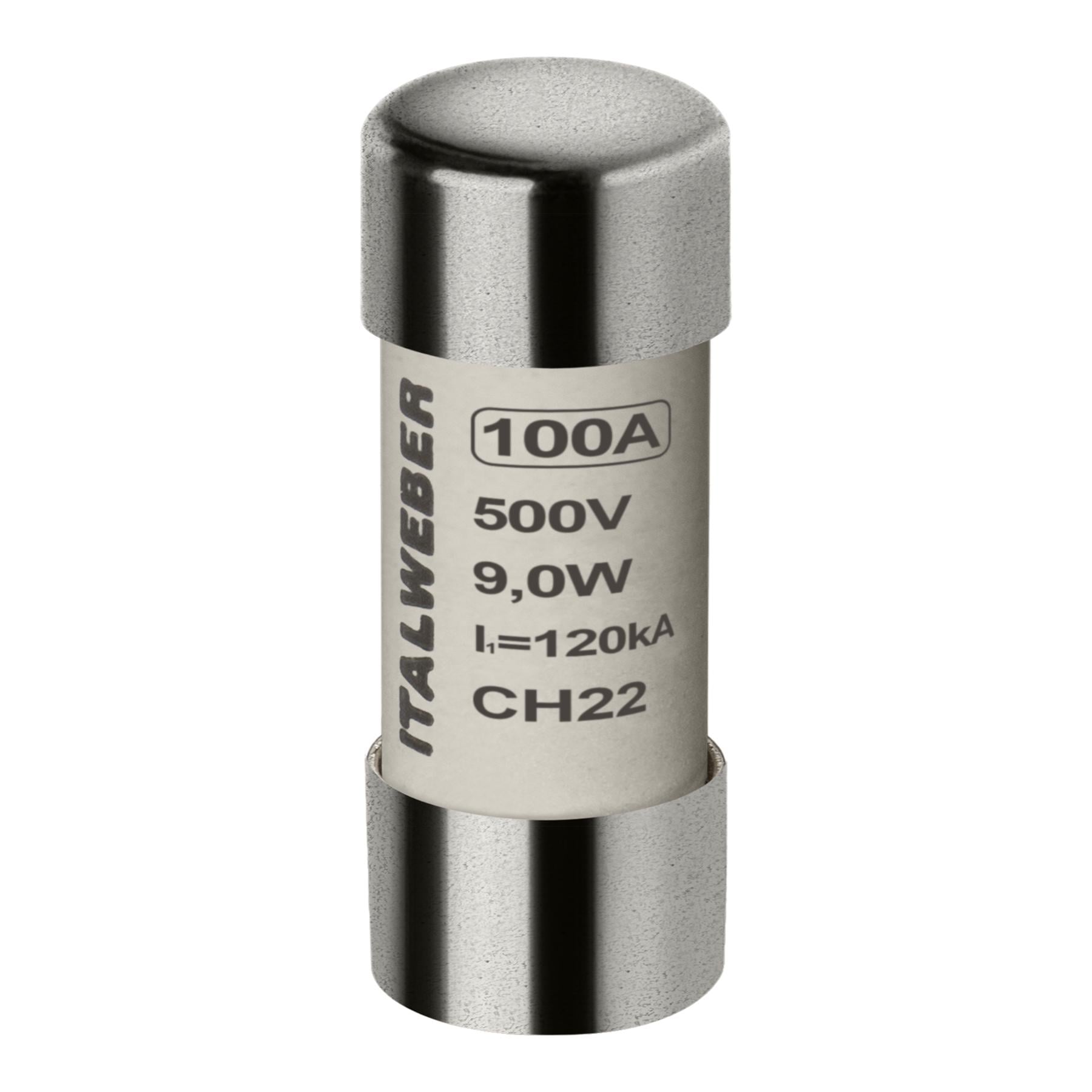Предохранитель Italweber 22х58 100А gG CH22 500 В (1441099)