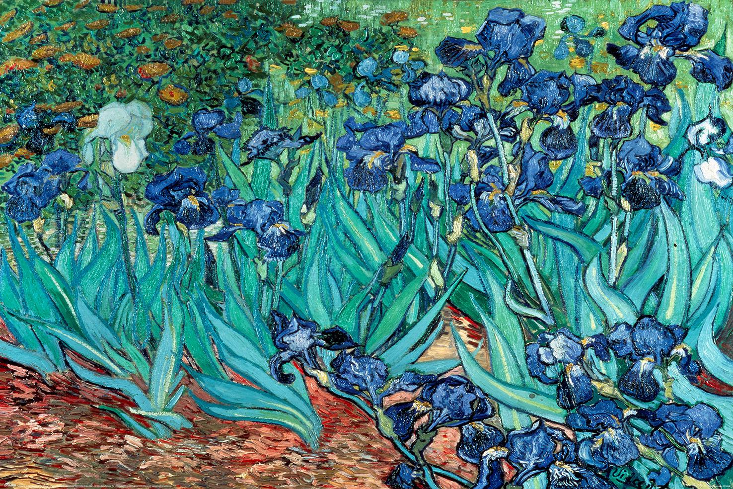 Постер плакат Ван Гог Ирисы/Van Gogh Les Irises 61x91,5 см