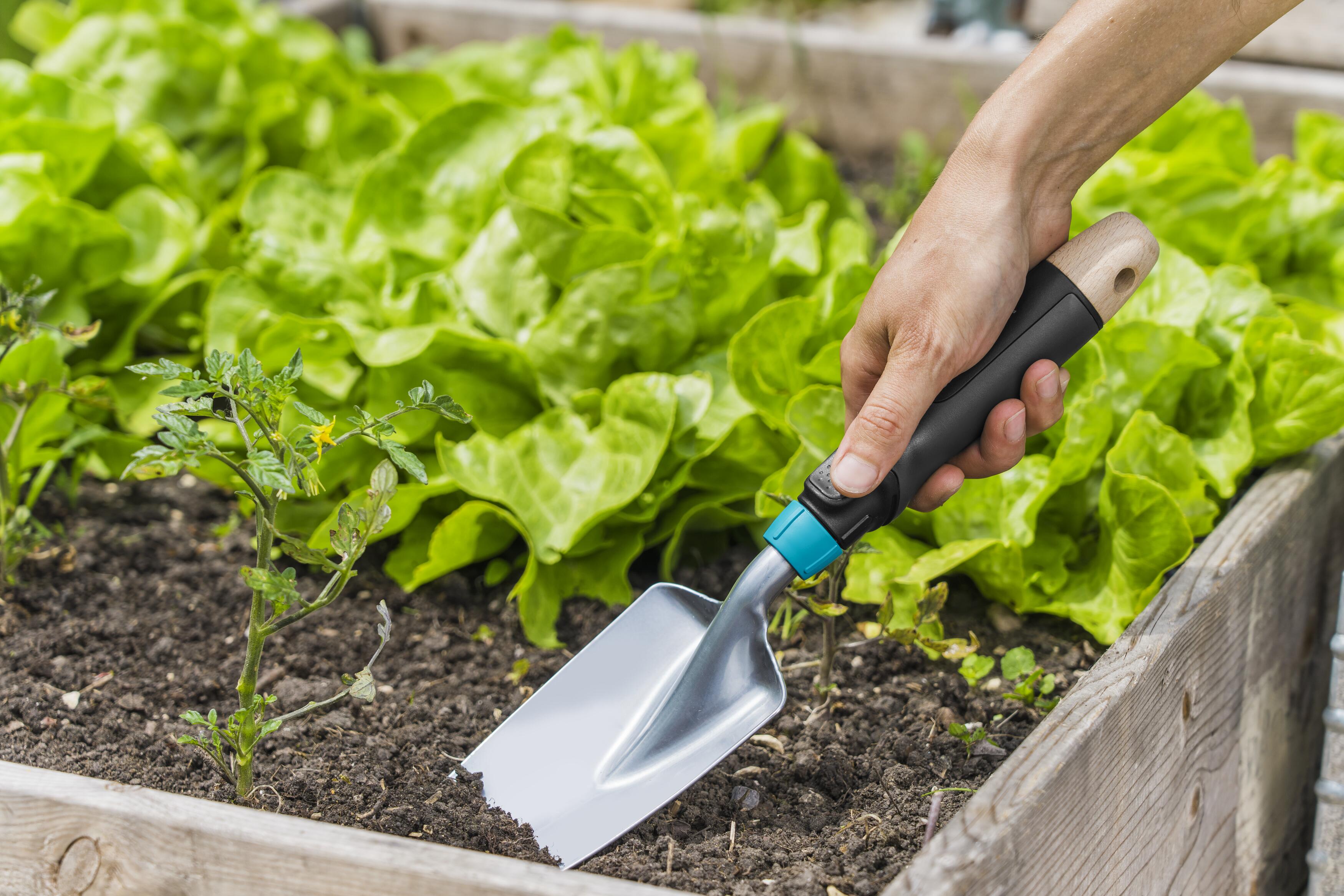 Совок садовий для квітів Gardena EcoLine 8,5 см (17700-20) - фото 2 Совок садовий для квітів Gardena EcoLine 8,5 см (17700-20) - фото 2