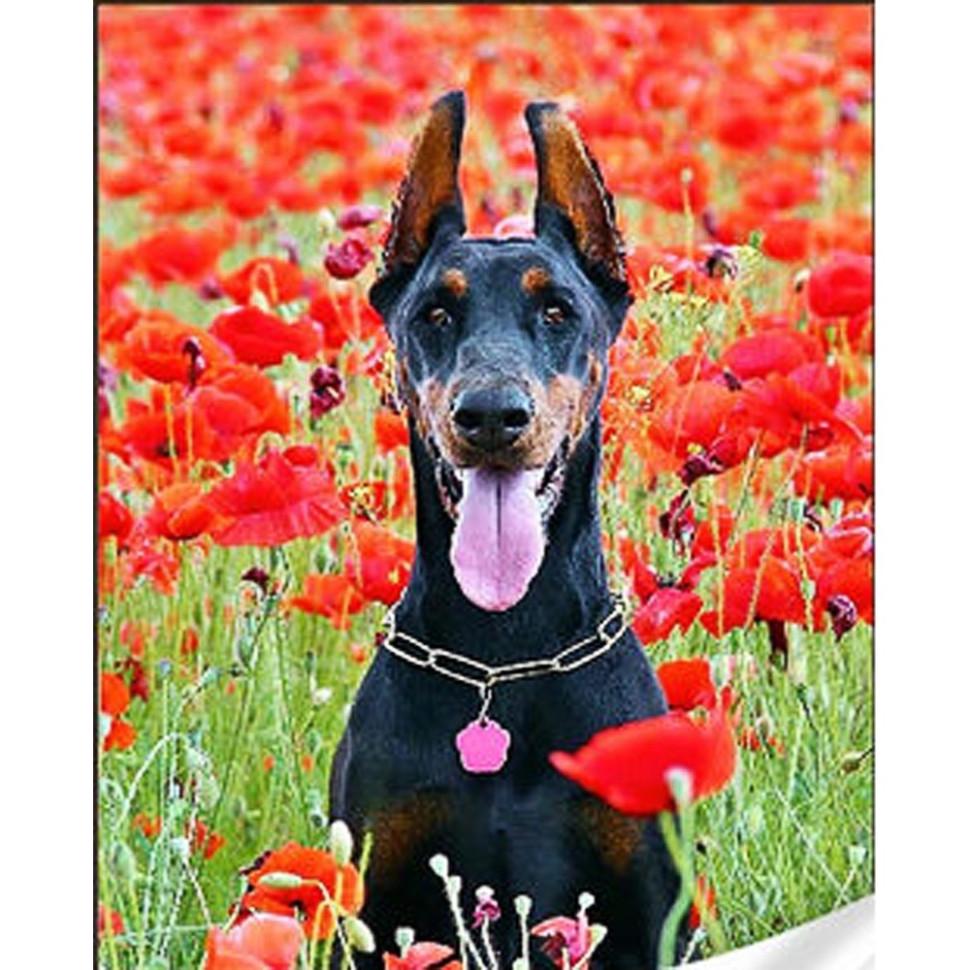 Алмазна мозаїка Strateg Чорний доберман 30х40 см Різнокольоровий (VM-127-A-376)