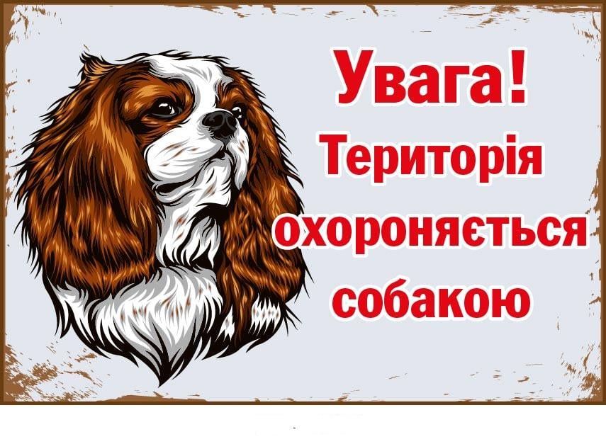 Табличка про пса пластиковая Светло-серый (д-9289)