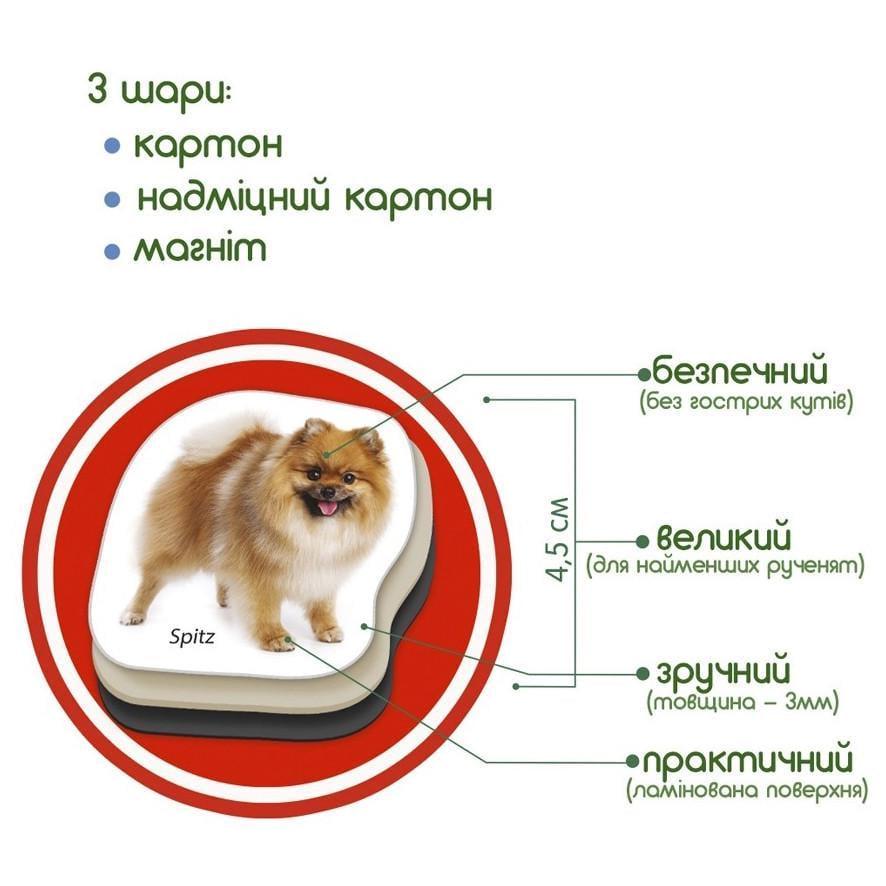 Набір магнітів розвиваючих Magdum Породи собак ML4031-20EN 24 фотомагніти (RLT46568) - фото 4 Набір магнітів розвиваючих Magdum Породи собак ML4031-20EN 24 фотомагніти (RLT46568) - фото 4