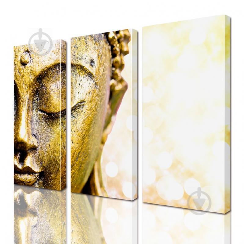 Модульная картина ArtStar ADA0055_3 размер 150 х 180 см