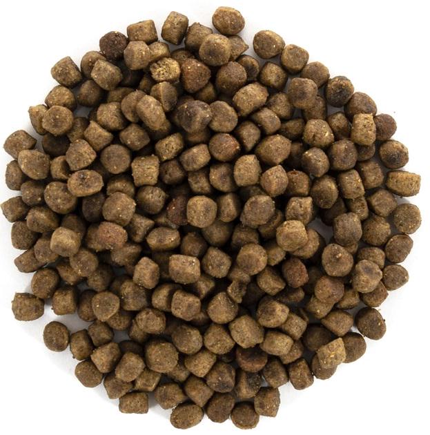 Корм беззерновий для кошенят Brit Care Cat GF Kitten Growth&Developmen з куркою й індичкою 7 кг (886/7) - фото 4