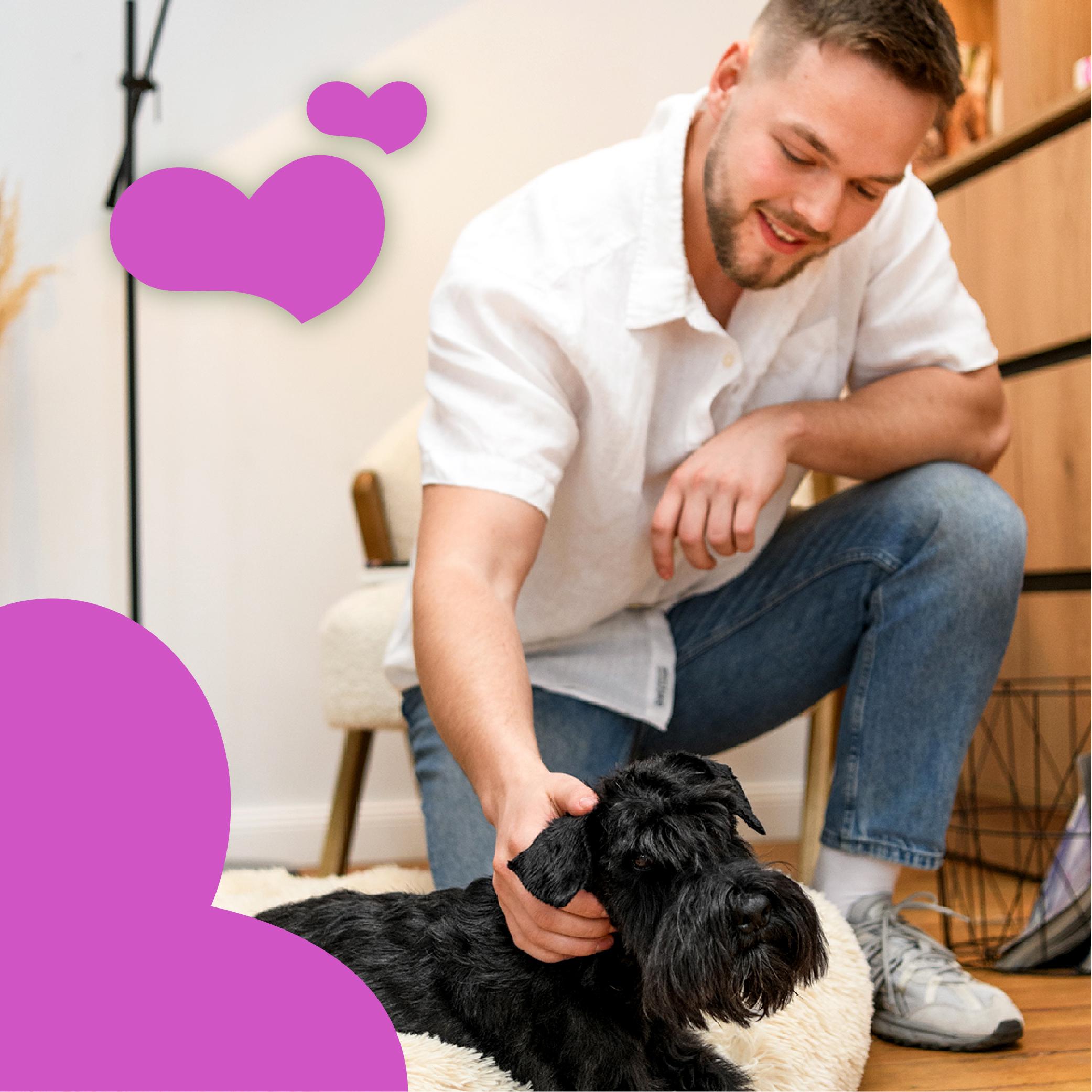 Ласощі для собак MAVSY Duck sticks for dogs Качині палички для догляду за зубами та яснами 120 г (13501969) - фото 5