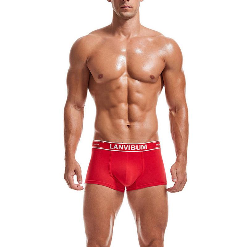 Трусы Lanvibum M Красный (7475)