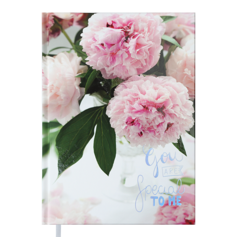 Дневник Buromax Romantic A5 288 листов Бело-розовый (BM.2040-43)