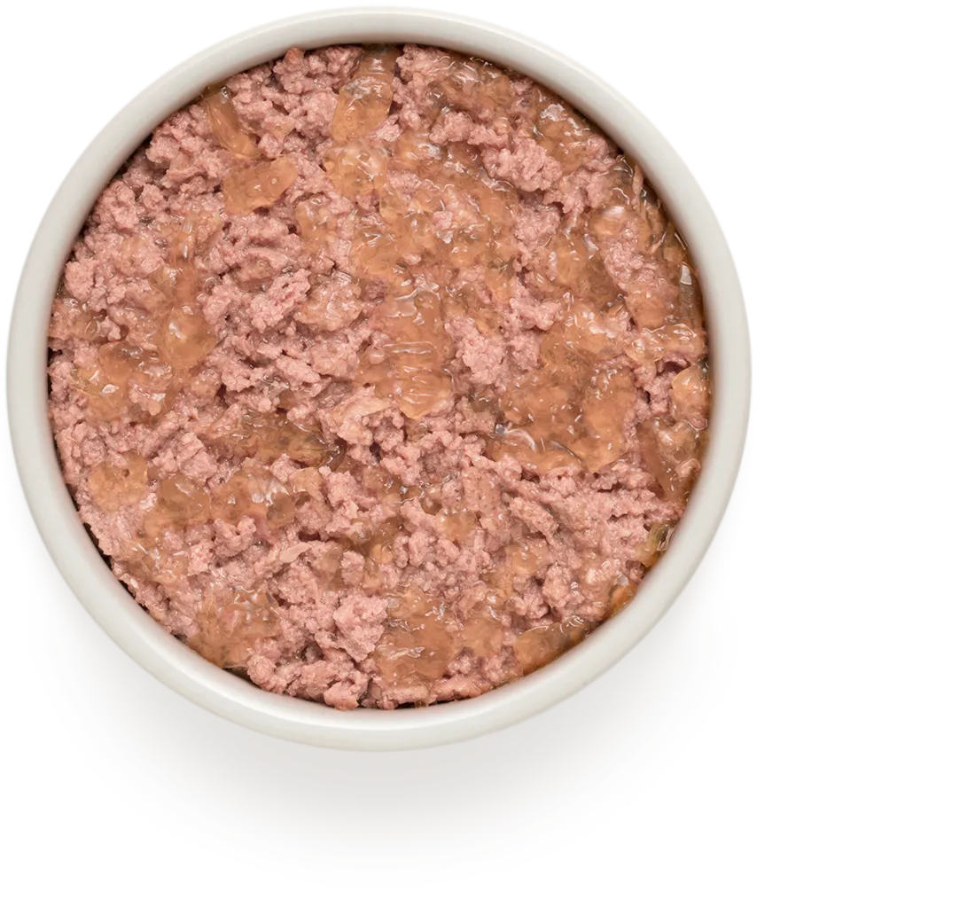 Корм влажный для взрослых собак Grandorf DUCK & TURKEY с уткой и индейкой 400 г - фото 2 Корм влажный для взрослых собак Grandorf DUCK & TURKEY с уткой и индейкой 400 г - фото 2