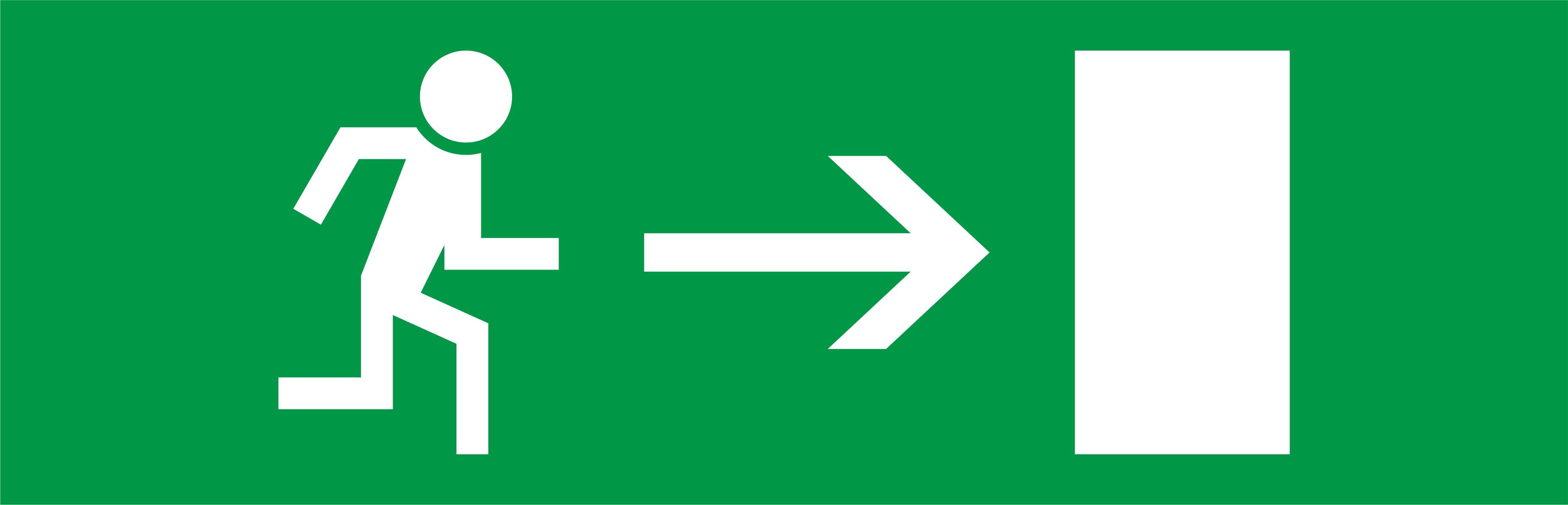 Этикетка самоклеящаяся E.NEXT Стрелка справа к аварийным светильникам 500L e.right.310.100 310x100 мм (l0660091)